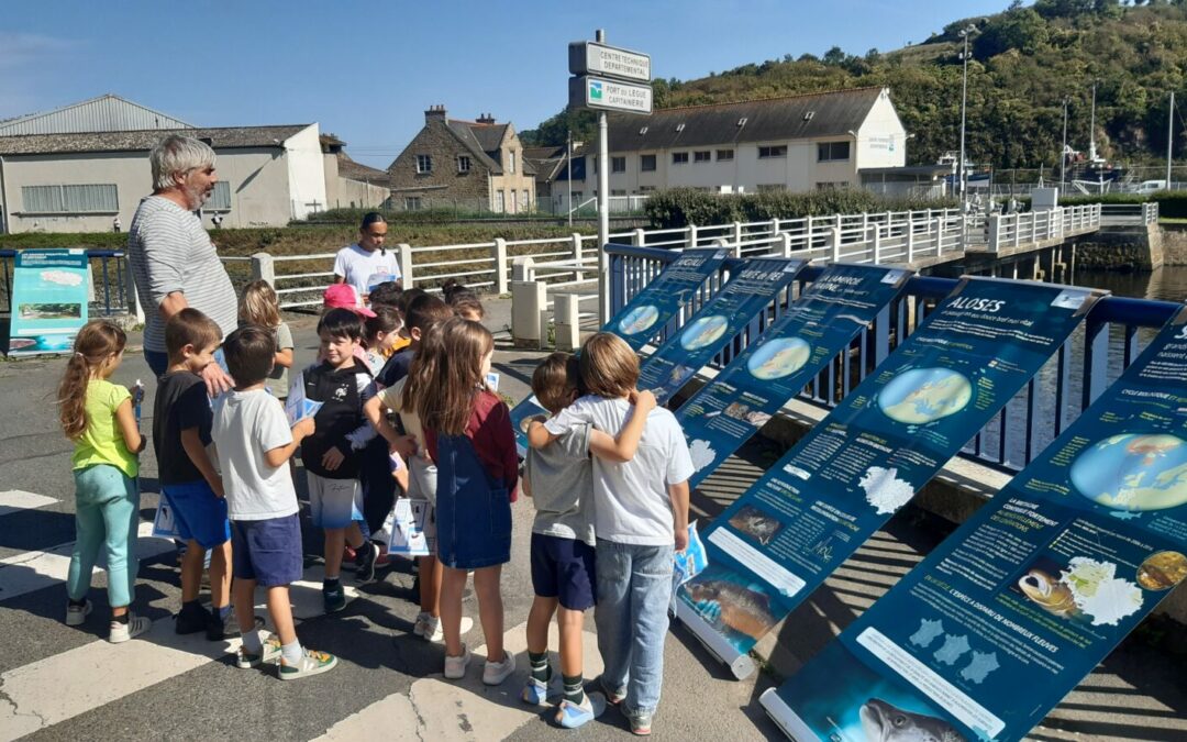 Visite de la passe à poissons