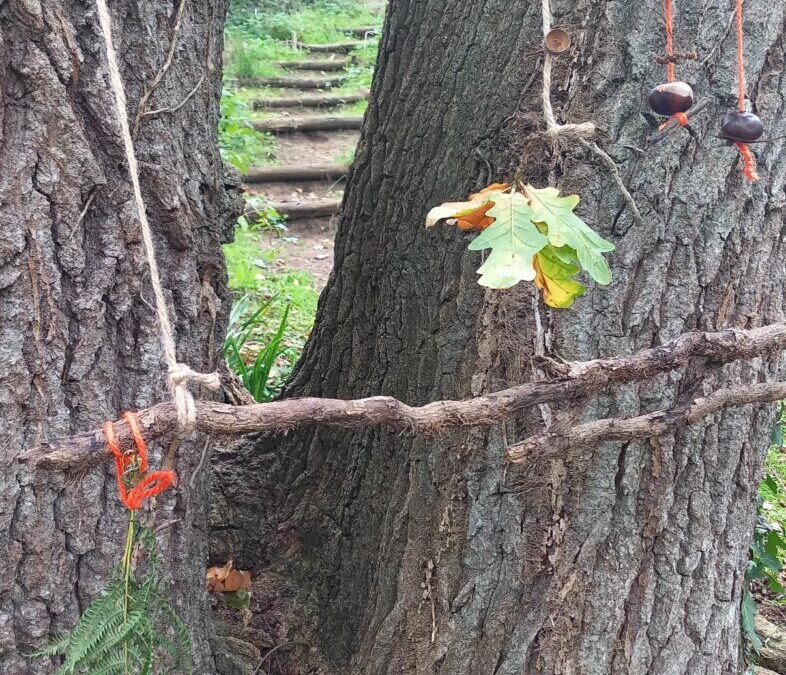 “Deomp, deomp ‘barzh ar c’hoad!” Une escapade enchantée à la Forest School de Langueux pour les CE CM1 bilingues