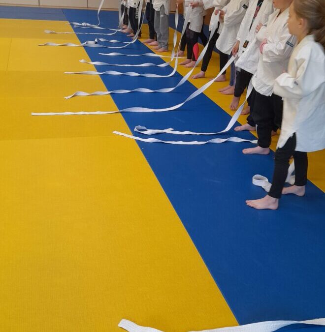 Deomp dezhi , top départ pour le cycle de Judo des CE CM1 bilingues!