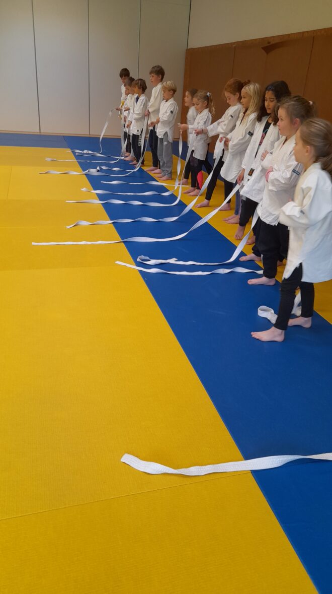 Deomp dezhi , top départ pour le cycle de Judo des CE CM1 bilingues!