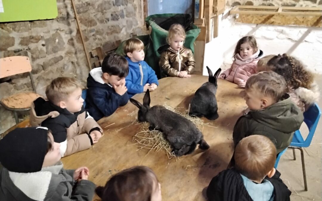 Animation à la ferme de la ville Oger