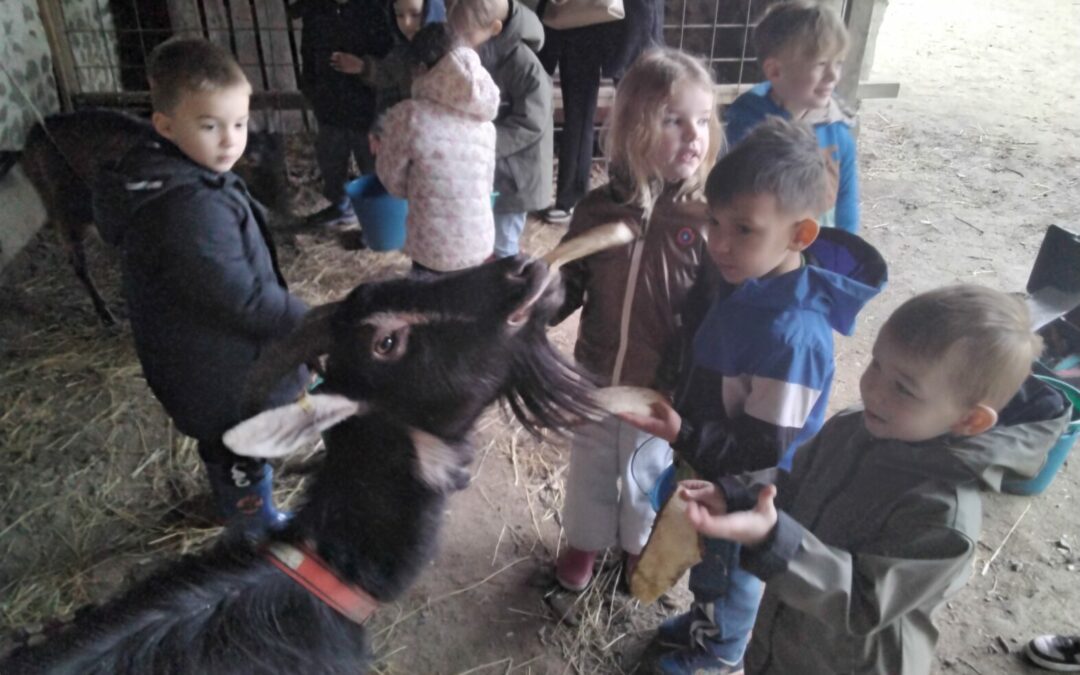 Sortie à la ferme de la ville Oger