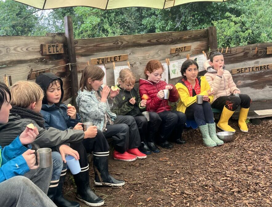 Dindan ar glav … Sortie à la forest school pour les CE CM1 bilingues.