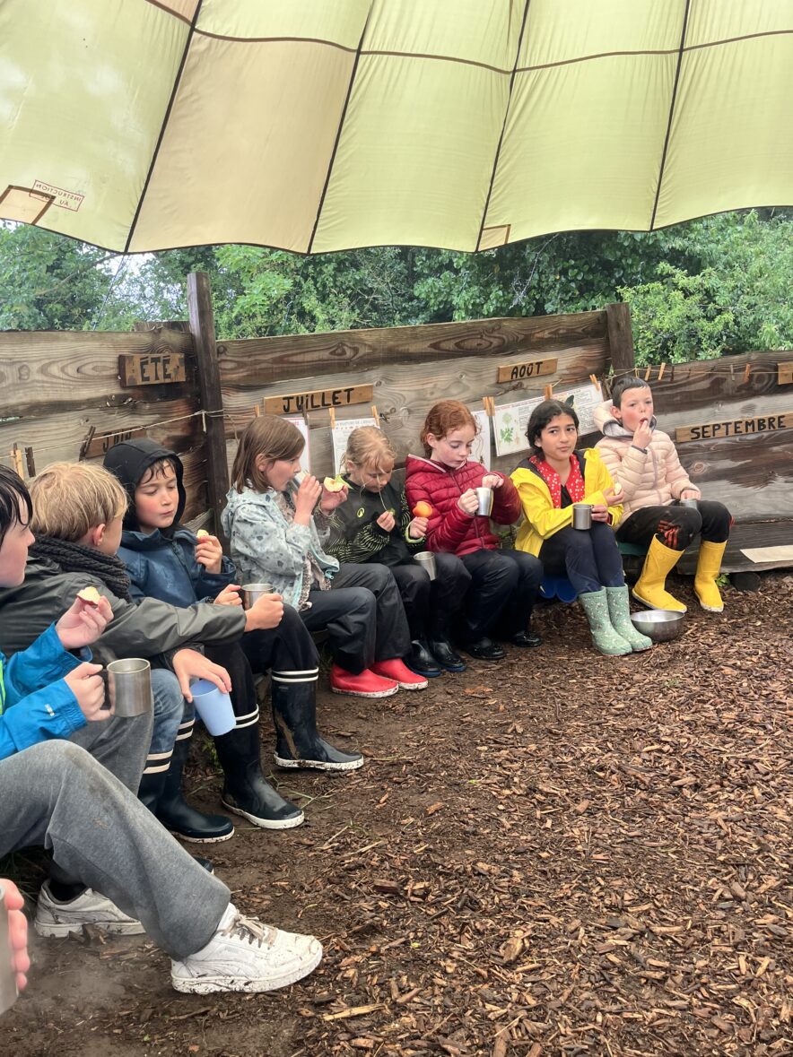 Dindan ar glav … Sortie à la forest school pour les CE CM1 bilingues.