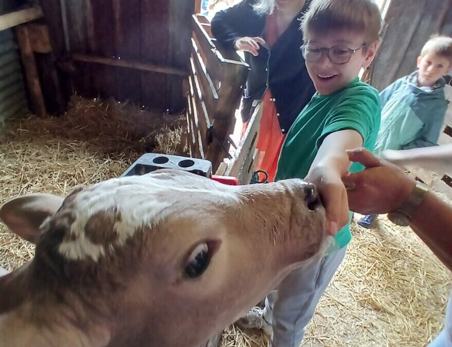 War hent al laezh/ sur les traces du lait …