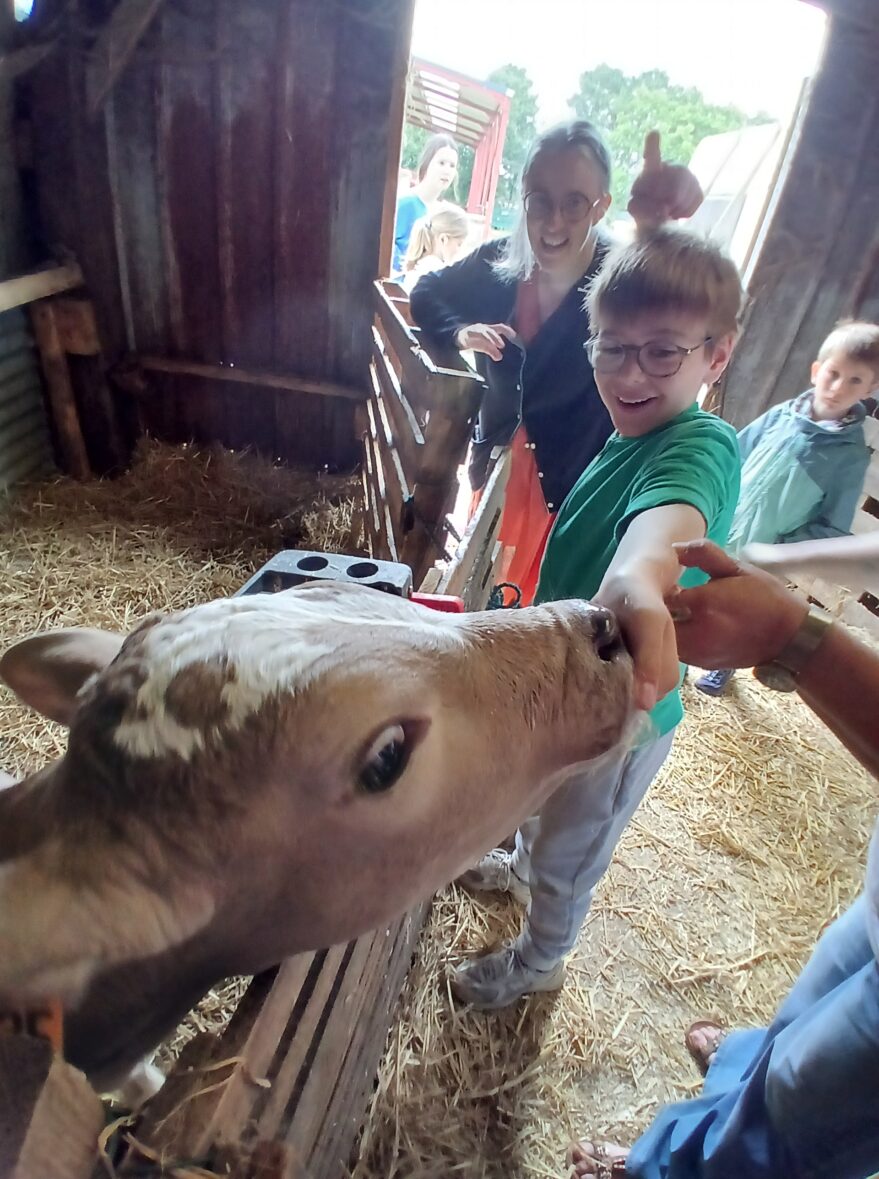 War hent al laezh/ sur les traces du lait …